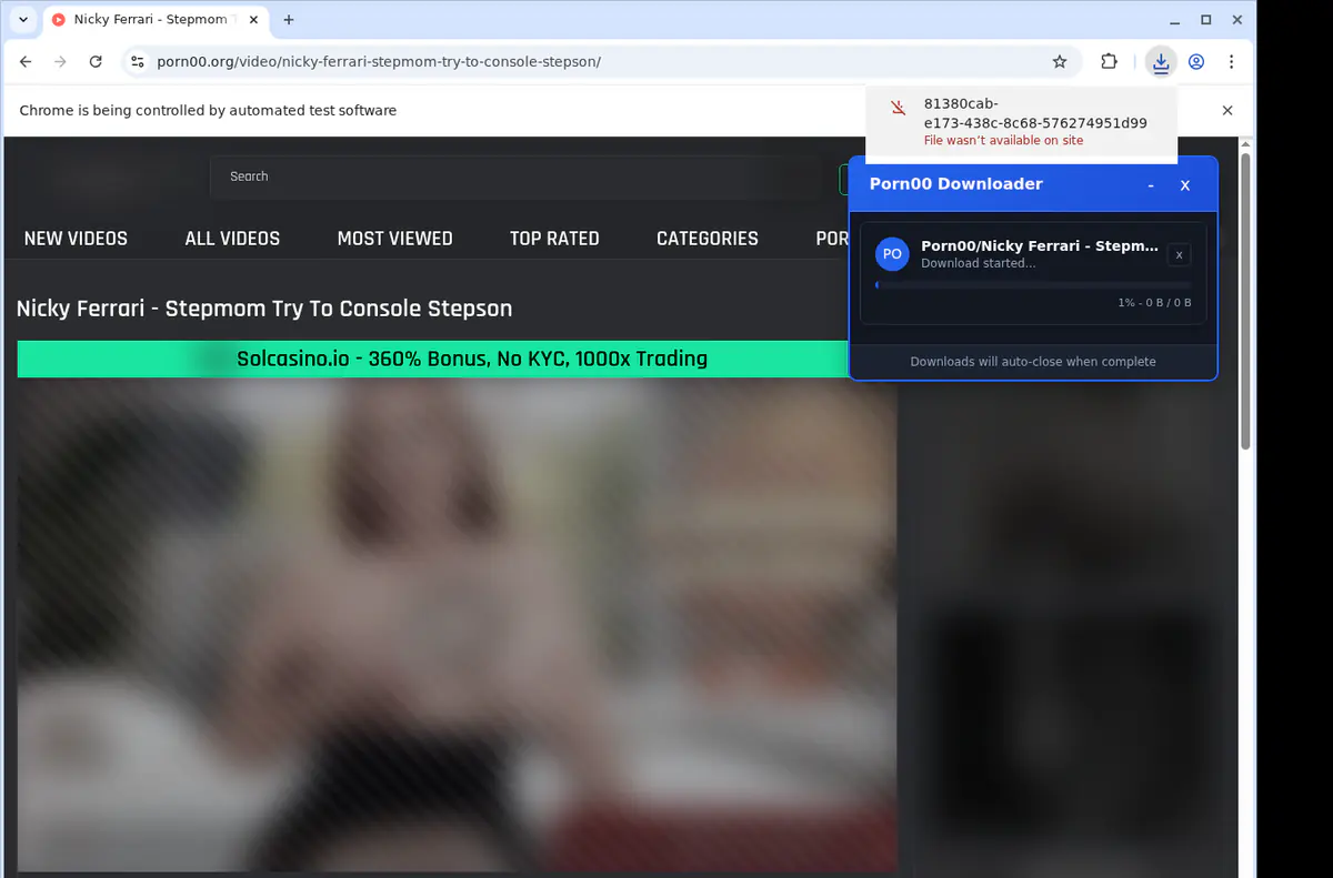 Porn 00 Video Downloader browser extension screenshot 2