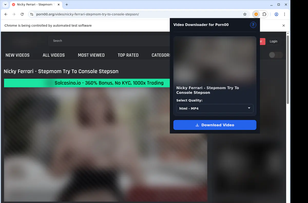 Porn 00 Video Downloader browser extension screenshot 3