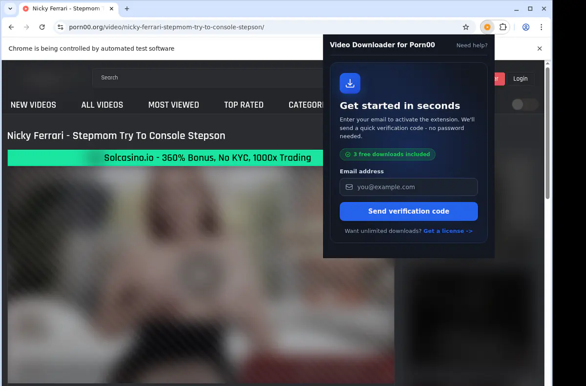 Porn 00 Video Downloader browser extension screenshot 5